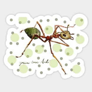 Green Tree Ant Sticker